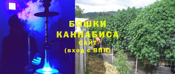 молекула духа Осинники