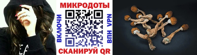 Псилоцибиновые грибы Psilocybine cubensis Киренск